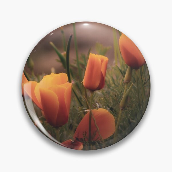 Aperçu de l'œuvre Coquelicots de Californie orange créée et vendue par Sandi Walmsley.