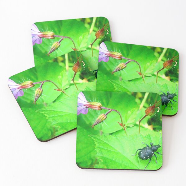 Item preview, Rüsselkäfer, True Weevil (Snout Beetle) designed and sold by angel1.