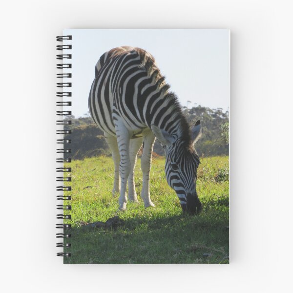Item preview, Zebra in a wildlife park in South Africa designed and sold by JustAboutNature.