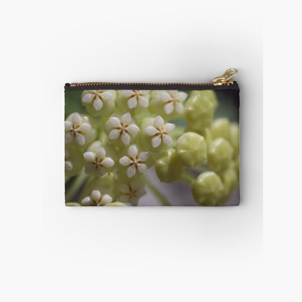 Item preview, Hoya Pachyclada Flowers and Buds designed and sold by ztrnorge.
