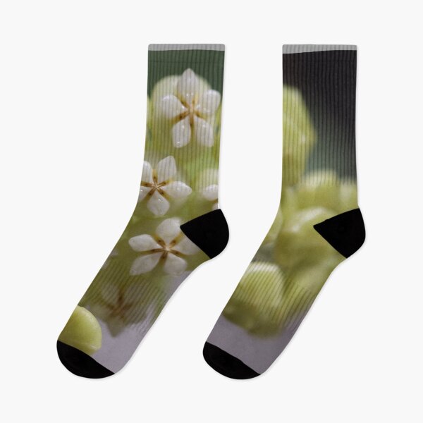Item preview, Hoya Pachyclada Flowers and Buds designed and sold by ztrnorge.