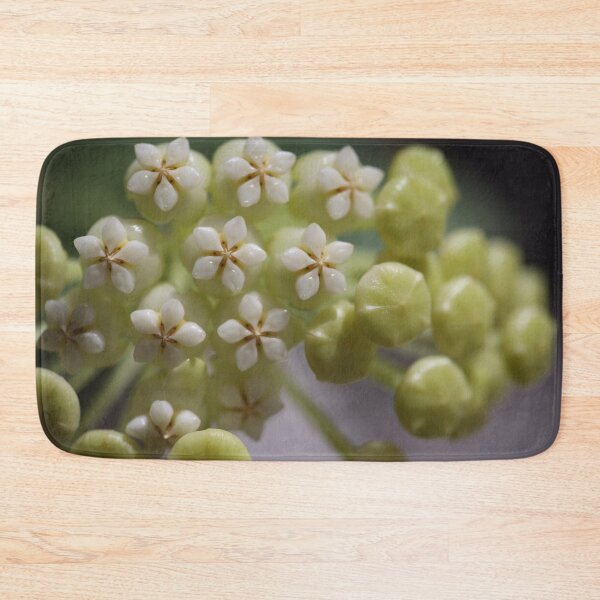Item preview, Hoya Pachyclada Flowers and Buds designed and sold by ztrnorge.