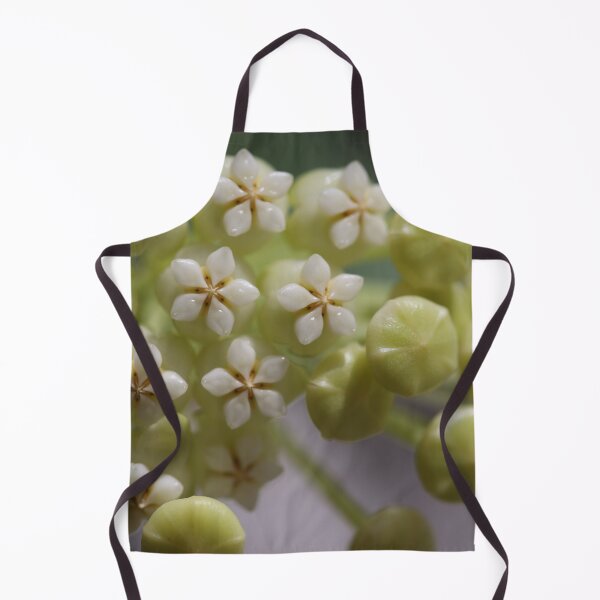Item preview, Hoya Pachyclada Flowers and Buds designed and sold by ztrnorge.