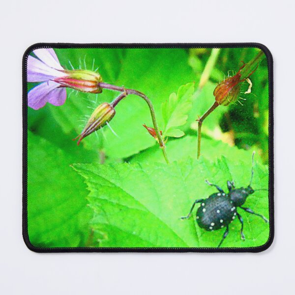 Item preview, Rüsselkäfer, True Weevil (Snout Beetle) designed and sold by angel1.