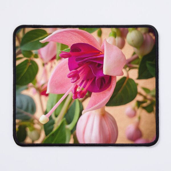 Item preview, Pink fuchsia blossom in summer designed and sold by Fashion through the ages.