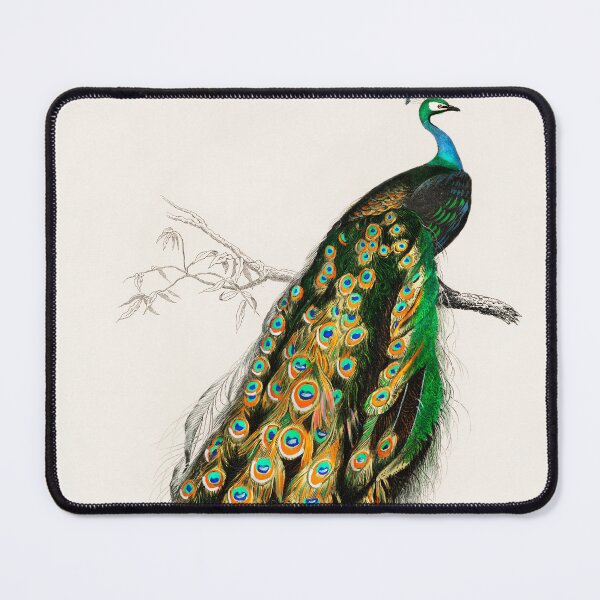Item preview, Peafowl designed and sold by SuziQPrayers427.