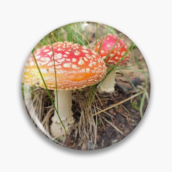 Item preview, Mushroom designed and sold by DaBoop.