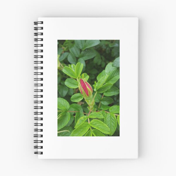 Item preview, Sitka Rose designed and sold by DaBoop.