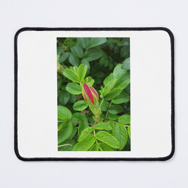 Item preview, Sitka Rose designed and sold by DaBoop.