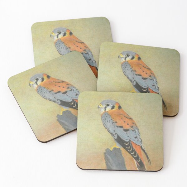 Item preview, American kestrel in pencil designed and sold by Sdlemaysbc.