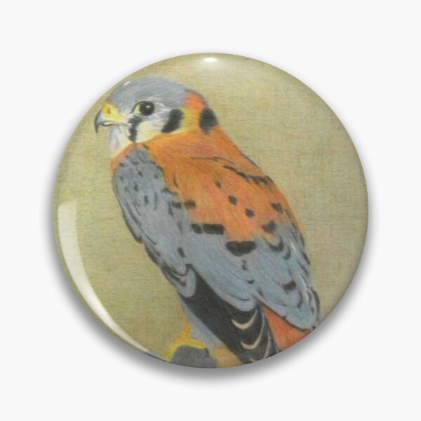 Item preview, American kestrel in pencil designed and sold by Sdlemaysbc.