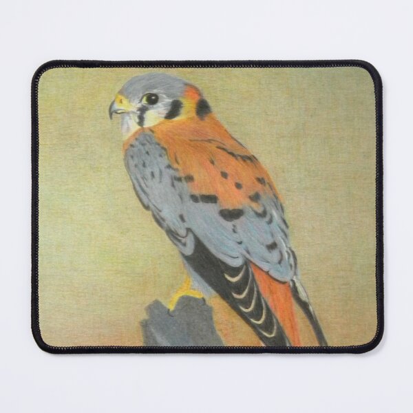 Item preview, American kestrel in pencil designed and sold by Sdlemaysbc.