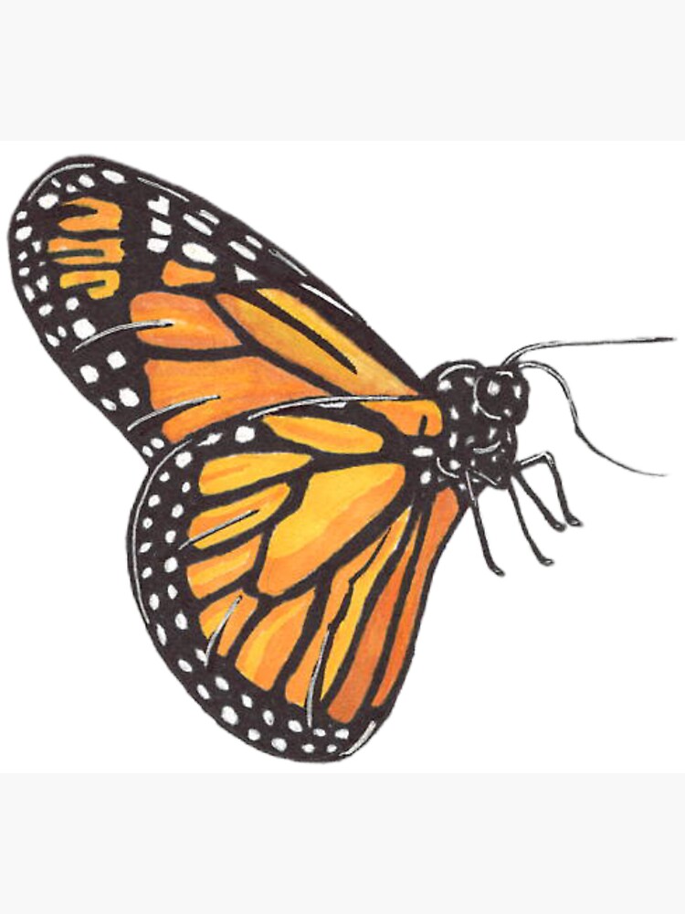 Monarch Butterfly Sticker For Sale By Kenziemjean Redbubble 