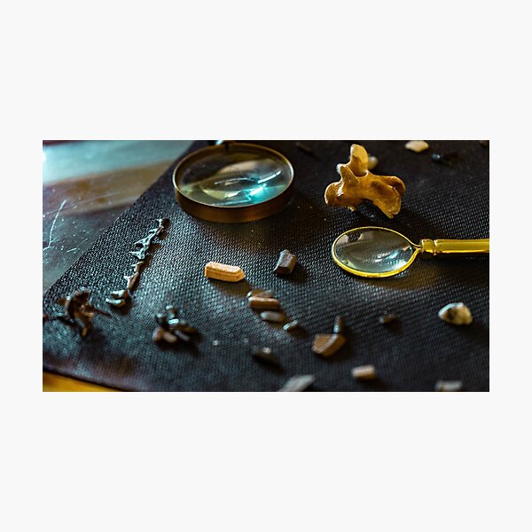 Creek Dig Photographic Print