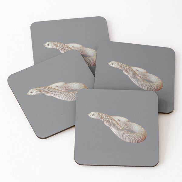 Item preview, Heterodon nasicus nasicus Casper morph designed and sold by JodieBond.