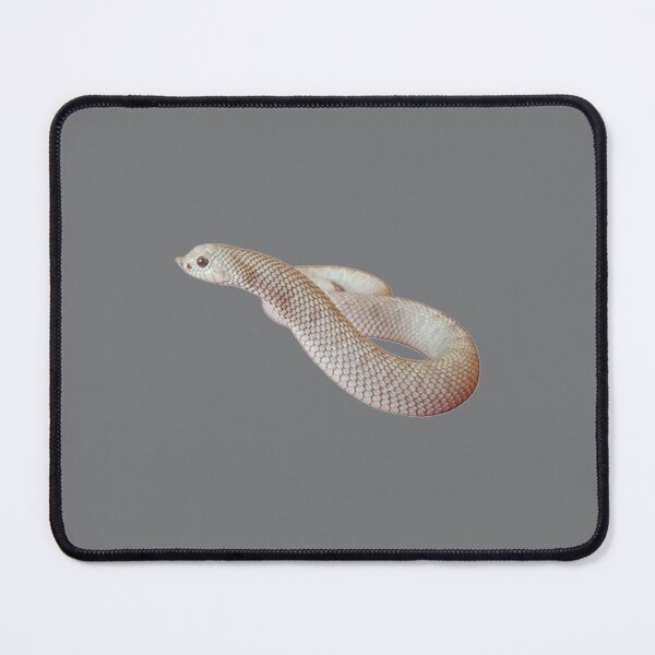 Item preview, Heterodon nasicus nasicus Casper morph designed and sold by JodieBond.
