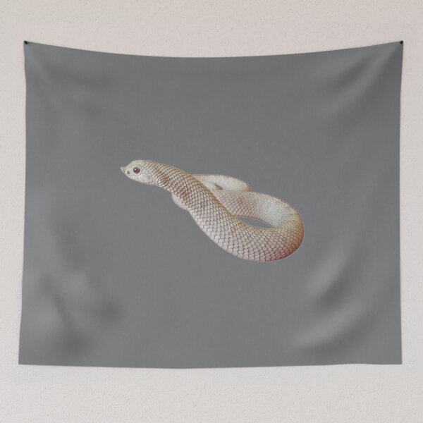 Item preview, Heterodon nasicus nasicus Casper morph designed and sold by JodieBond.