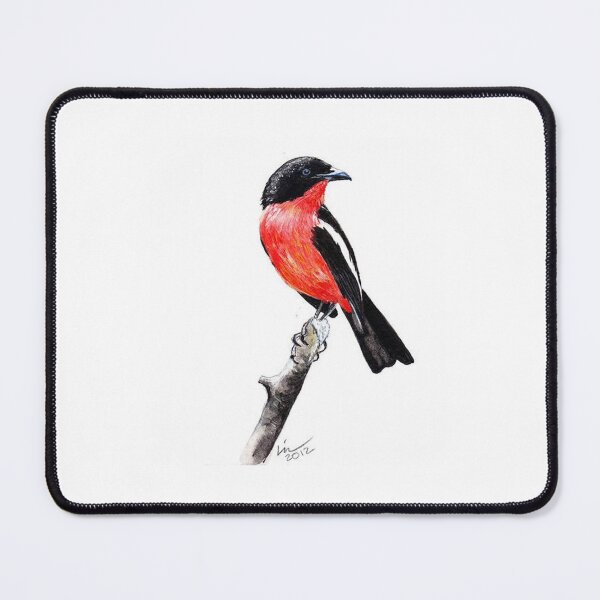 Item preview, red-bellied shrike. Red-bellied Shrike. designed and sold by LaNonaArt.