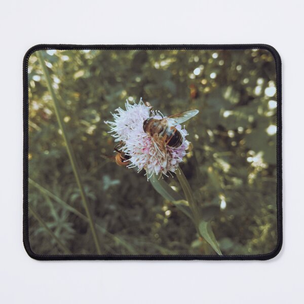 Item preview, Bee on Meadow Flower Vintage Photography designed and sold by katiamelnik.