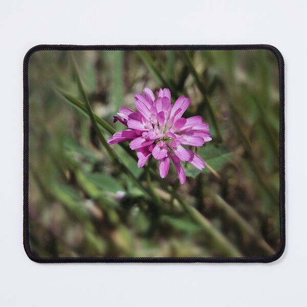 Item preview, Meadow Purple Flower Dark Vintage Photography designed and sold by katiamelnik.
