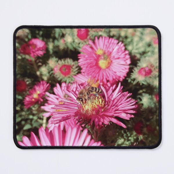 Item preview, Bee on Garden Pink Flower Vintage Photography designed and sold by katiamelnik.