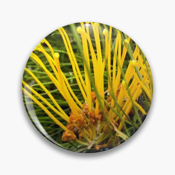 Item preview, Great Grevillea - Yellow designed and sold by KazM.