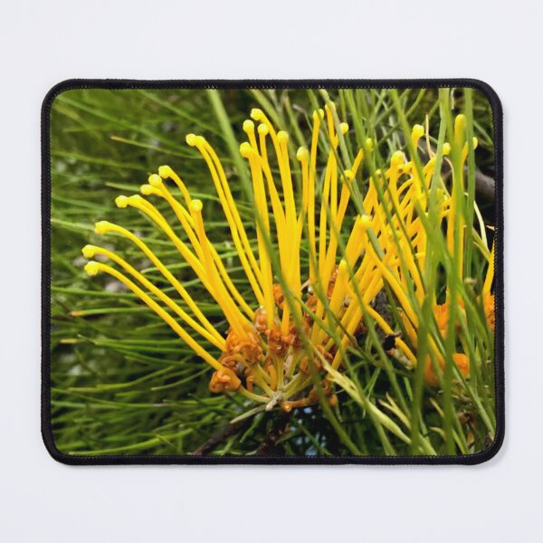 Item preview, Great Grevillea - Yellow designed and sold by KazM.