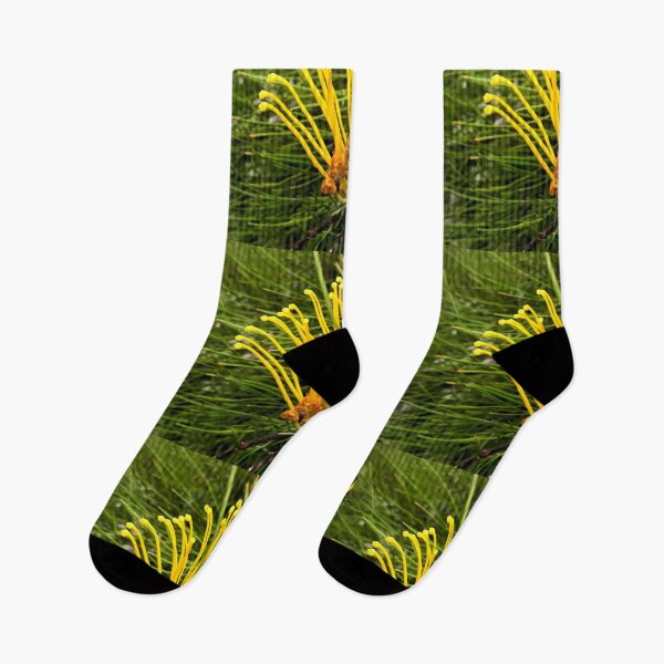Item preview, Great Grevillea - Yellow designed and sold by KazM.