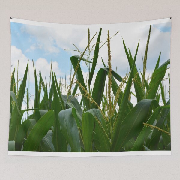 Item preview, Corn Makes Whiskey designed and sold by macymuirhead.