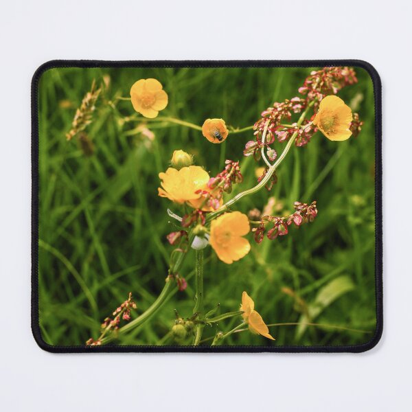 Item preview, Looking A View designed and sold by Carl Gaynor.