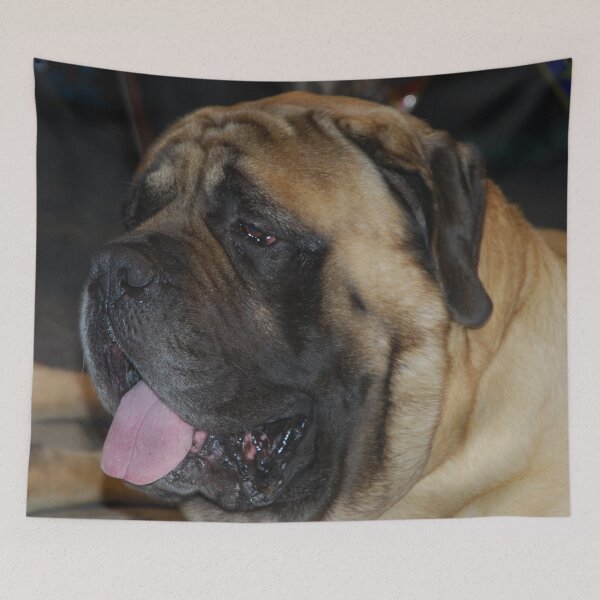 Item preview, Mastiff designed and sold by lizdomett.