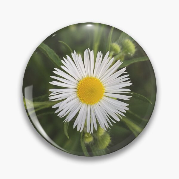 Item preview, Daisy Fleabane designed and sold by stephaniedraws.