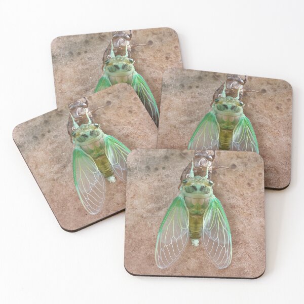 Item preview, Cicada designed and sold by stephaniedraws.