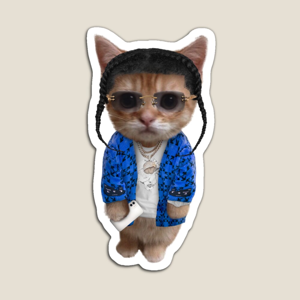 Playboi Kitty Sticker for Sale by drainsupply