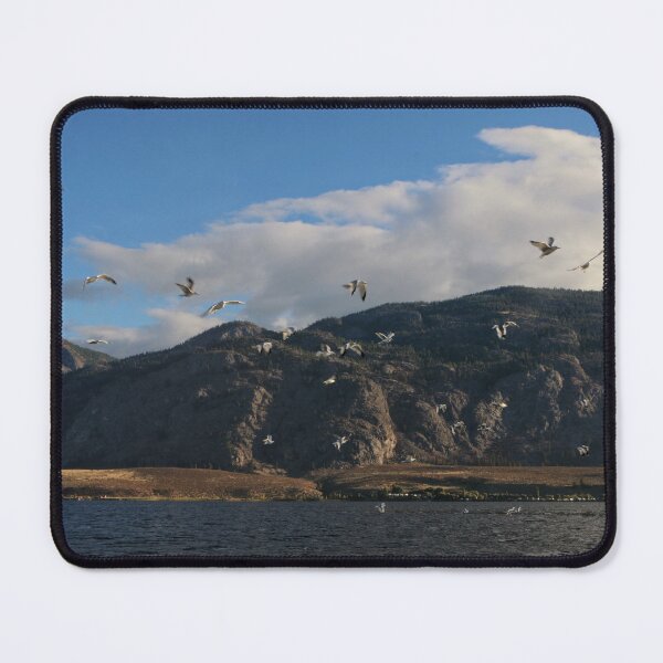 Item preview, Seagull Morning Osoyoos designed and sold by Johnston Creative.
