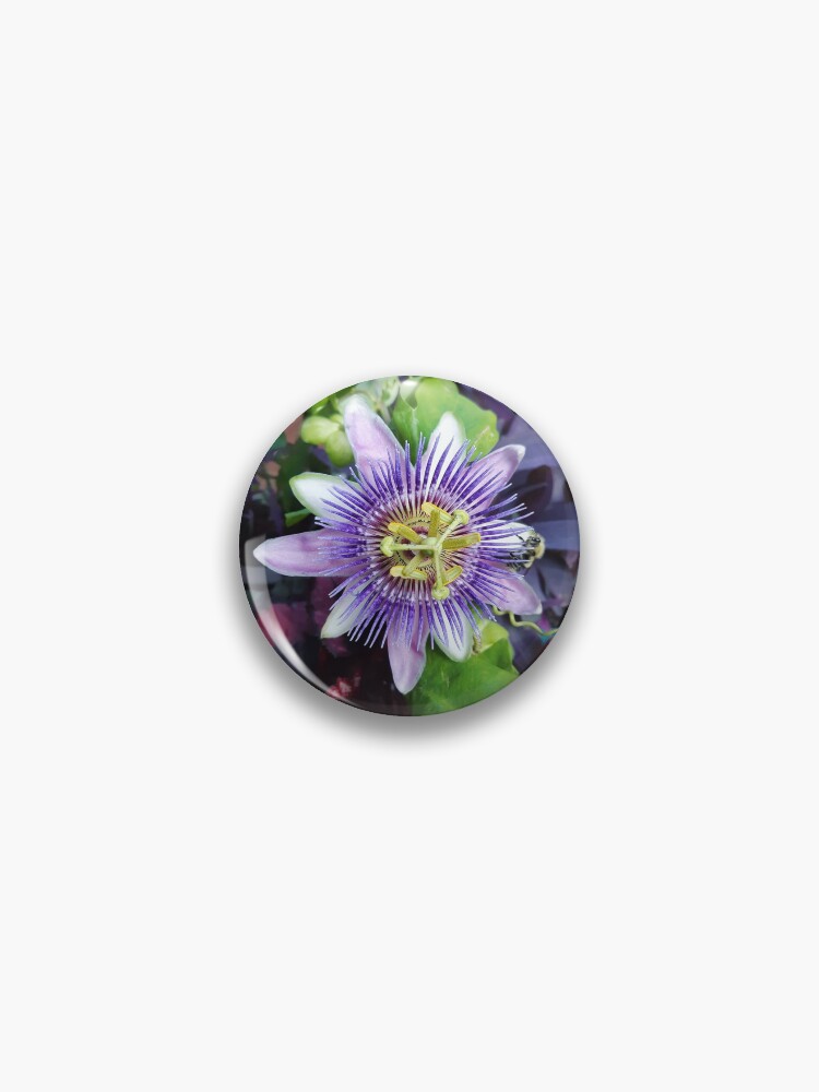 Thumbnail 1 of 3, Pin, Passion Flower Bee Garden Nature Pin designed and sold by annalizshirley.