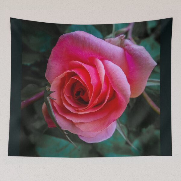 Item preview, West Coast Gardens: Resplendent Rose designed and sold by Chancelrie.