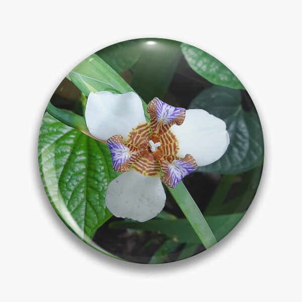 Walking Iris ♡ Flower Garden Pin Pin