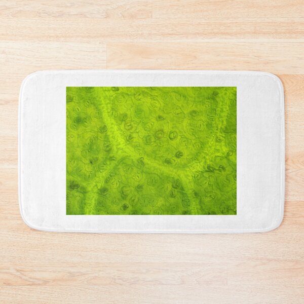 Item preview, Magnolia leaf under the microscope designed and sold by SDym Photography.