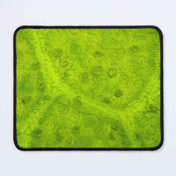 Item preview, Magnolia leaf under the microscope designed and sold by SDym Photography.