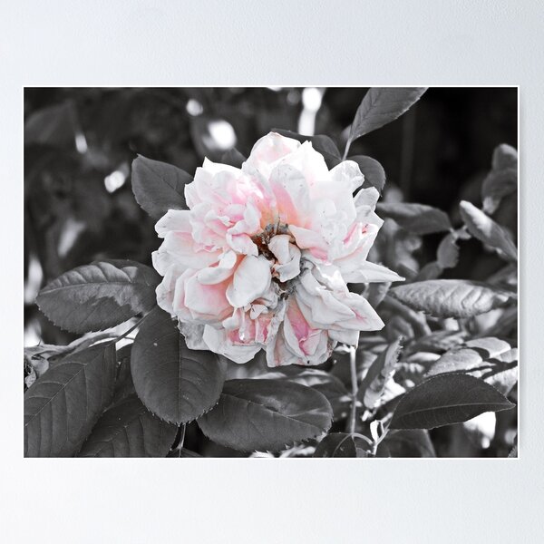 Item preview, Just a hint of pink designed and sold by corinthiansgirl.