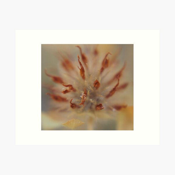 Flaming Tips Art Print