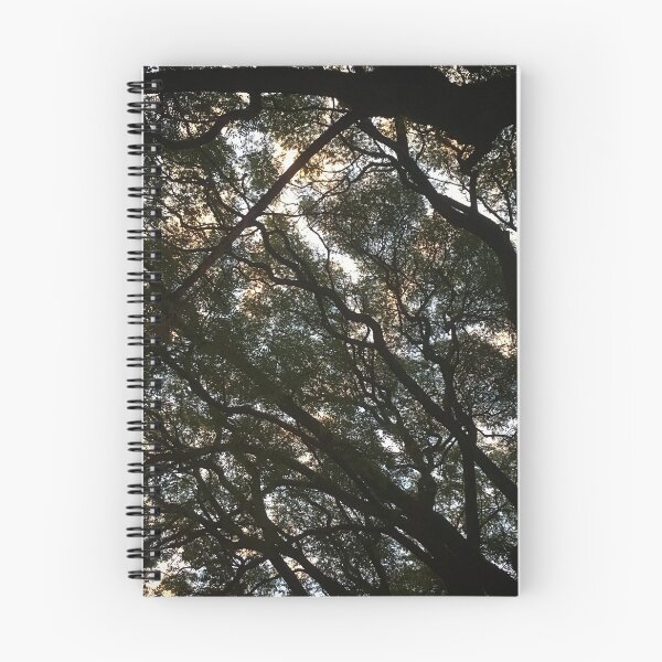 Item preview, Grove designed and sold by Ramiro Lombardo.