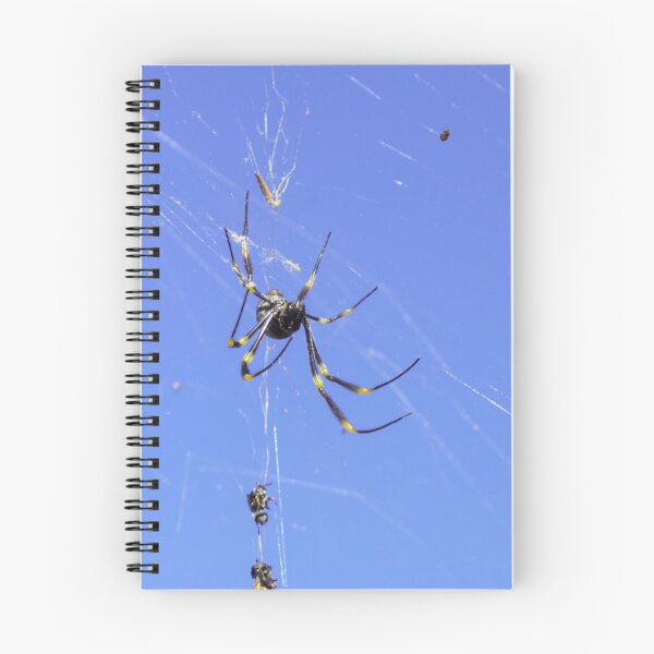 Item preview, Golden Orb Weaving Spider designed and sold by houseofhound.