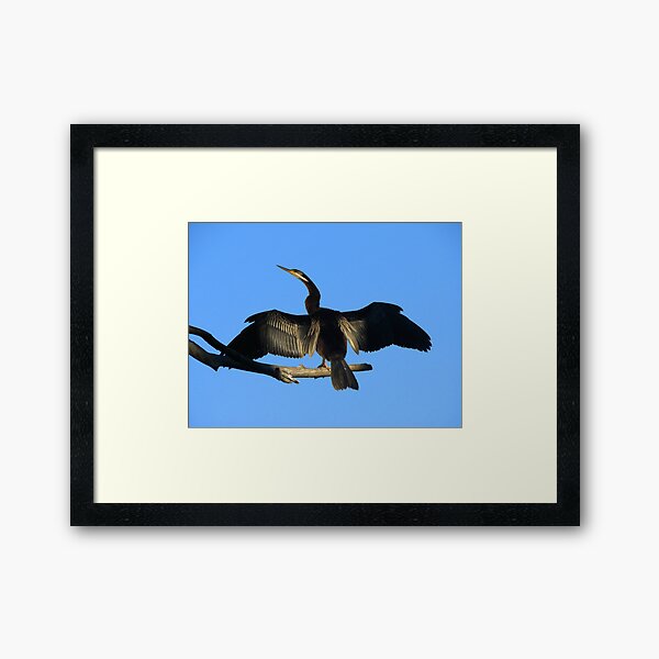 Morning Warm Up Framed Art Print