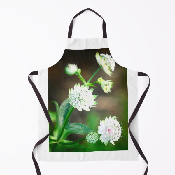 Item preview, Astrantia Major/Great Masterwort designed and sold by angel1.