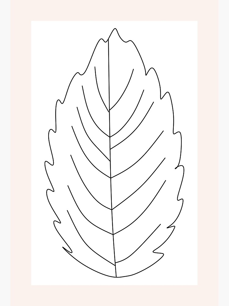 Leaf drawing Vectors & Illustrations for Free Download | Freepik