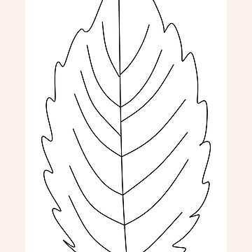 Simple leaf simple leaf drawing simple leaf outline, Floral Design, Plant  Stem, Line Art, Twig, Pink M, Flower, Plants transparent background PNG  clipart | HiClipart