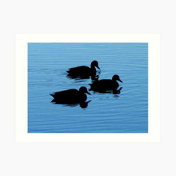 Trio WC11 Art Print