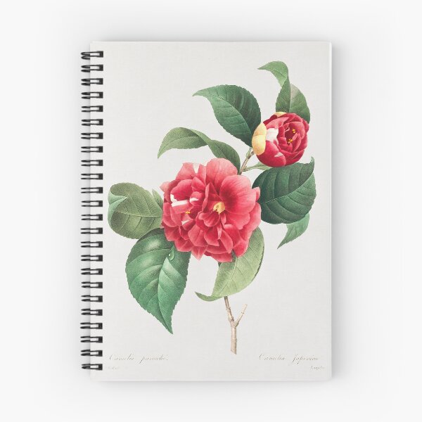 Item preview, Pierre-Joseph Redouté: Choix des plus belles fleurs (1833) designed and sold by 0Serendipity0.